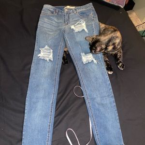 Roebuck&Co Blue Jeans